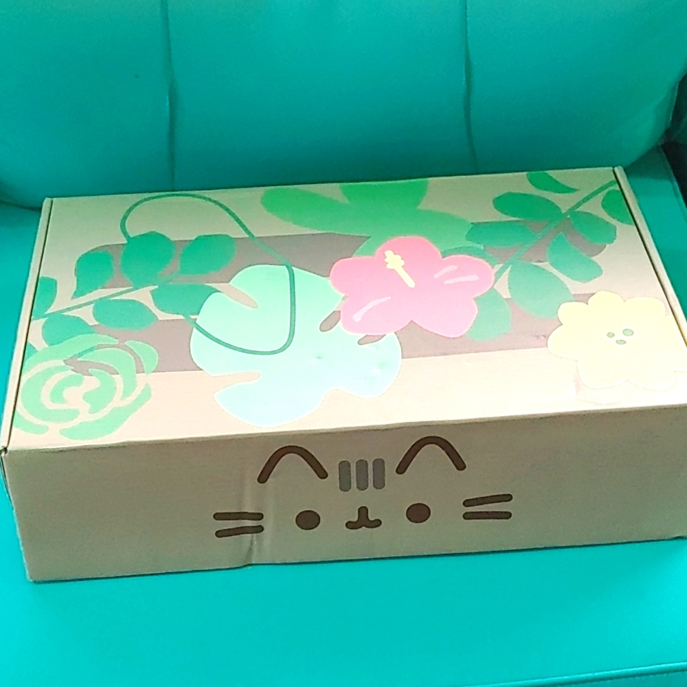 Pusheen Exclusive Gift Box